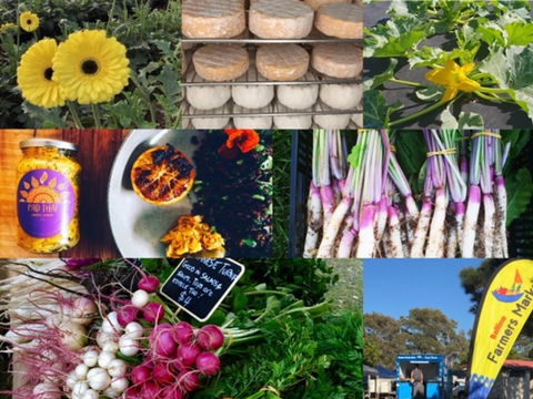 Ballina Farmers Market - Northern Rivers Accommodation 1