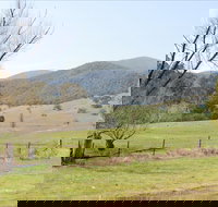 Banimboola Creek Rest Area - Northern Rivers Accommodation