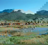Biggenden - Northern Rivers Accommodation
