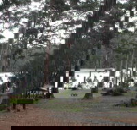 Big Brook Arboretum - Northern Rivers Accommodation