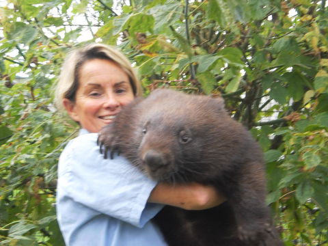 Birdland Animal Park - Northern Rivers Accommodation 2