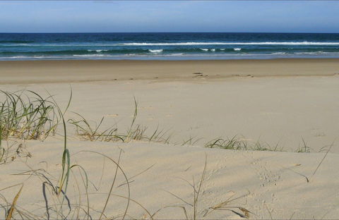 Bongil Beach - Northern Rivers Accommodation 0