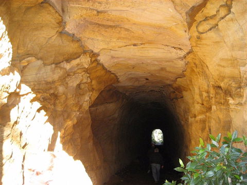 Box Vale Mine Walking Track And Lookout - Northern Rivers Accommodation 1