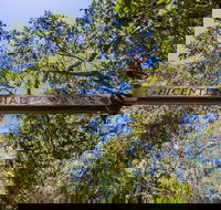 Bribie Island Bicentennial Trails - Northern Rivers Accommodation