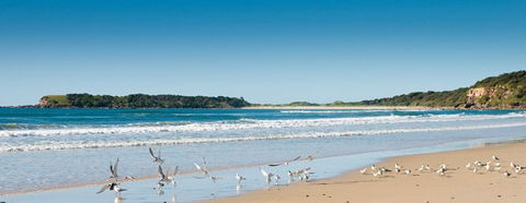 Chinamans Beach Evans Head - Northern Rivers Accommodation 2