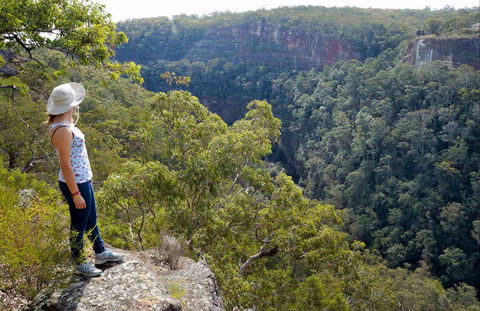 Glenbrook Gorge Track - Northern Rivers Accommodation 0