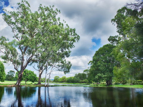 Gold Coast Regional Botanic Gardens - Northern Rivers Accommodation 0