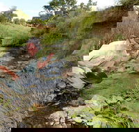 Gold Panning Deep Creek - Northern Rivers Accommodation