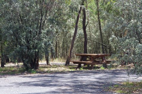 Goonoowigall State Conservation Area - Northern Rivers Accommodation 0