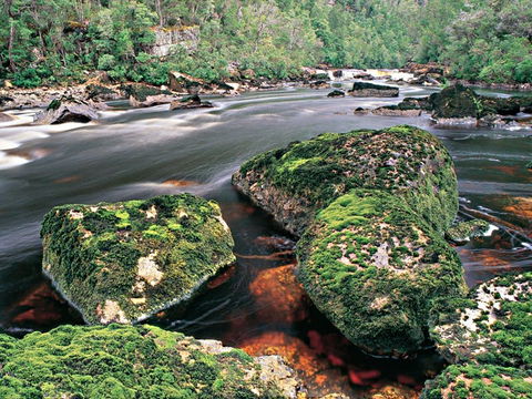 Gordon River - The - Northern Rivers Accommodation 2