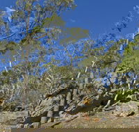 Green track - Northern Rivers Accommodation
