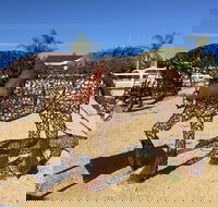 Gundersen Reserve - Northern Rivers Accommodation