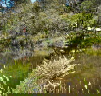 Kurth Kiln Regional Park - Northern Rivers Accommodation