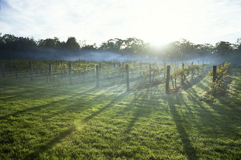 Leeton - Northern Rivers Accommodation 1