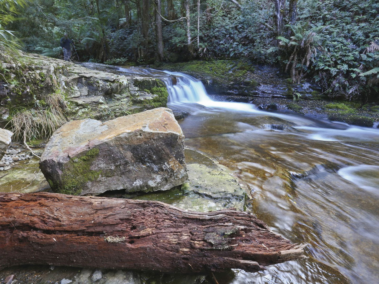 Liffey TAS Northern Rivers Accommodation