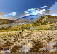 Little Mountain Walking Track - Northern Rivers Accommodation