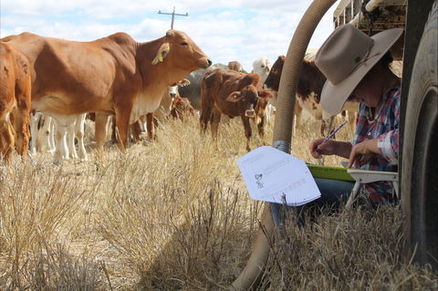 Longreach School Of Distance Education - Northern Rivers Accommodation 2