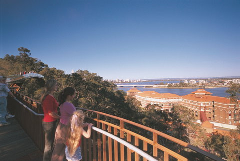 Lotterywest Federation Walkway - Kings Park - Northern Rivers Accommodation 0