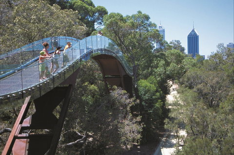 Lotterywest Federation Walkway - Kings Park - Northern Rivers Accommodation 1