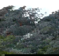 Mount Yarrowyck Nature Reserve - Northern Rivers Accommodation