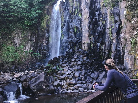 Mungalli Falls - Northern Rivers Accommodation 0