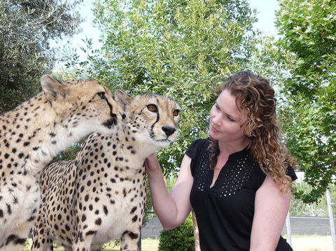 National Zoo & Aquarium - Northern Rivers Accommodation 1