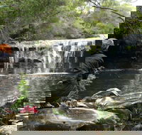 Nellies Glen Picnic Area - Northern Rivers Accommodation