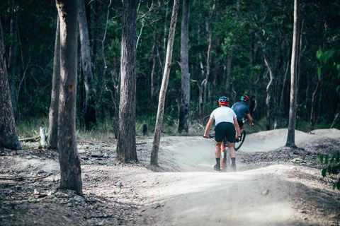 Nerang Mountain Bike Trails - Northern Rivers Accommodation 2