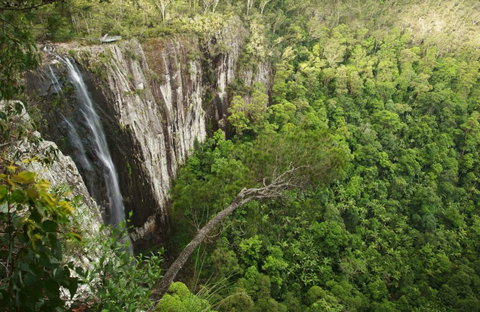 Nightcap National Park - Northern Rivers Accommodation 0
