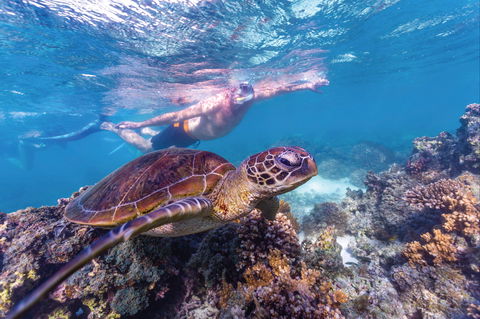 Ningaloo Marine Park - Northern Rivers Accommodation 0