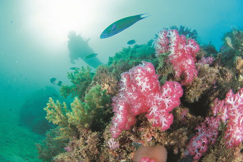 Ningaloo Marine Park - Northern Rivers Accommodation 2