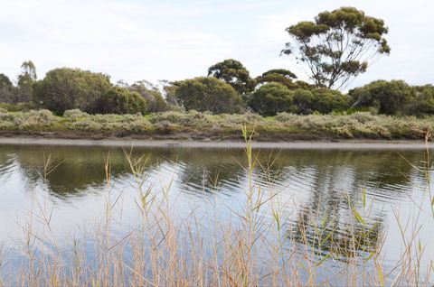 Onkaparinga River Recreation Park - Northern Rivers Accommodation 0