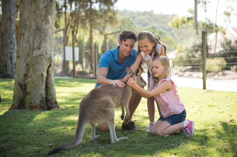 Paradise Country - Northern Rivers Accommodation 2