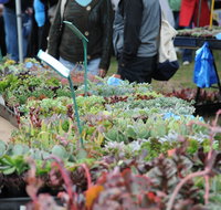 Portsea Market - Northern Rivers Accommodation