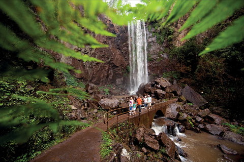 Queen Mary Falls Circuit, Main Range National Park - Northern Rivers Accommodation 0