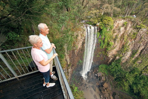 Queen Mary Falls Circuit, Main Range National Park - Northern Rivers Accommodation 1