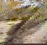 Red Rocks trig walking track - Northern Rivers Accommodation
