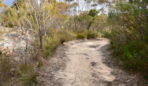 Red Rocks Trig Walking Track - Northern Rivers Accommodation 0