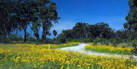 Shearer's Way - Northern Rivers Accommodation 0