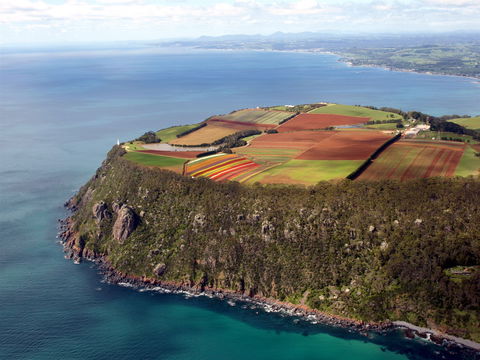 Table Cape - Northern Rivers Accommodation 1