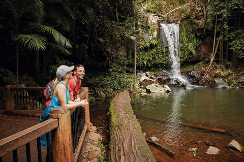Tamborine National Park - Northern Rivers Accommodation 1