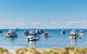 Thomson Bay - thumb 2