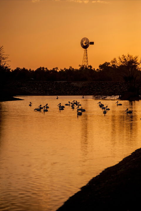 Thomson River, Longreach - Northern Rivers Accommodation 2