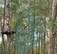 TreeTops Newcastle - Northern Rivers Accommodation