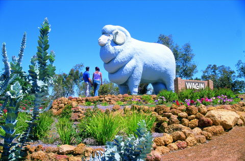 Wagin - Northern Rivers Accommodation 0