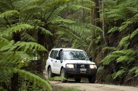 Walhalla - Northern Rivers Accommodation 2