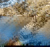 Wandandian Creek picnic area - Northern Rivers Accommodation