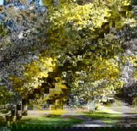 Wattle Park - Northern Rivers Accommodation