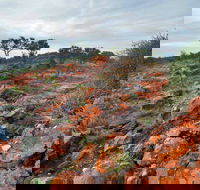 Western Ridge Walk - Northern Rivers Accommodation