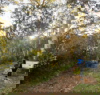 Yarrangobilly Caves  River walk - Northern Rivers Accommodation